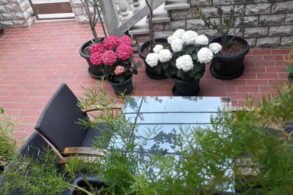 Apartment Eli Паг Екстериор снимка