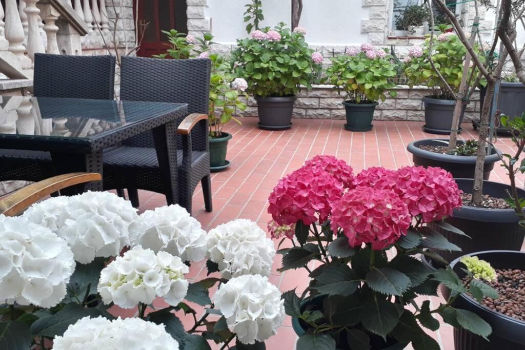 Apartment Eli Паг Екстериор снимка