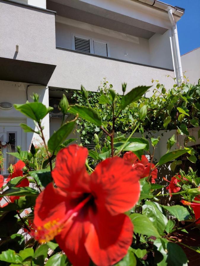 Apartment Eli Паг Екстериор снимка